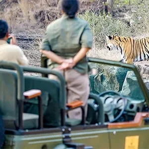 8 Days Delhi Agra Jaipur tour with Wildlife Tiger Safari