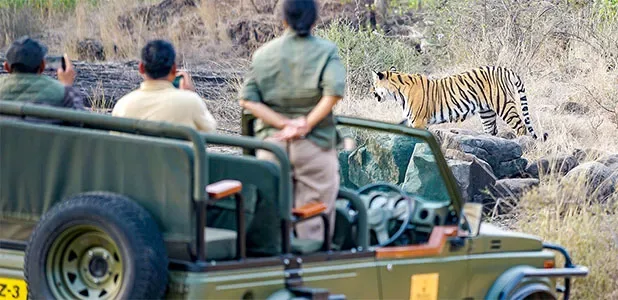 8 Days Delhi Agra Jaipur tour with Wildlife Tiger Safari
