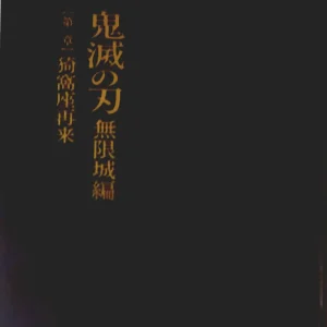 Aniplex Demon Slayer Mugen Castle Arc Chapter 1 Movie Pamphlet Limited Edition