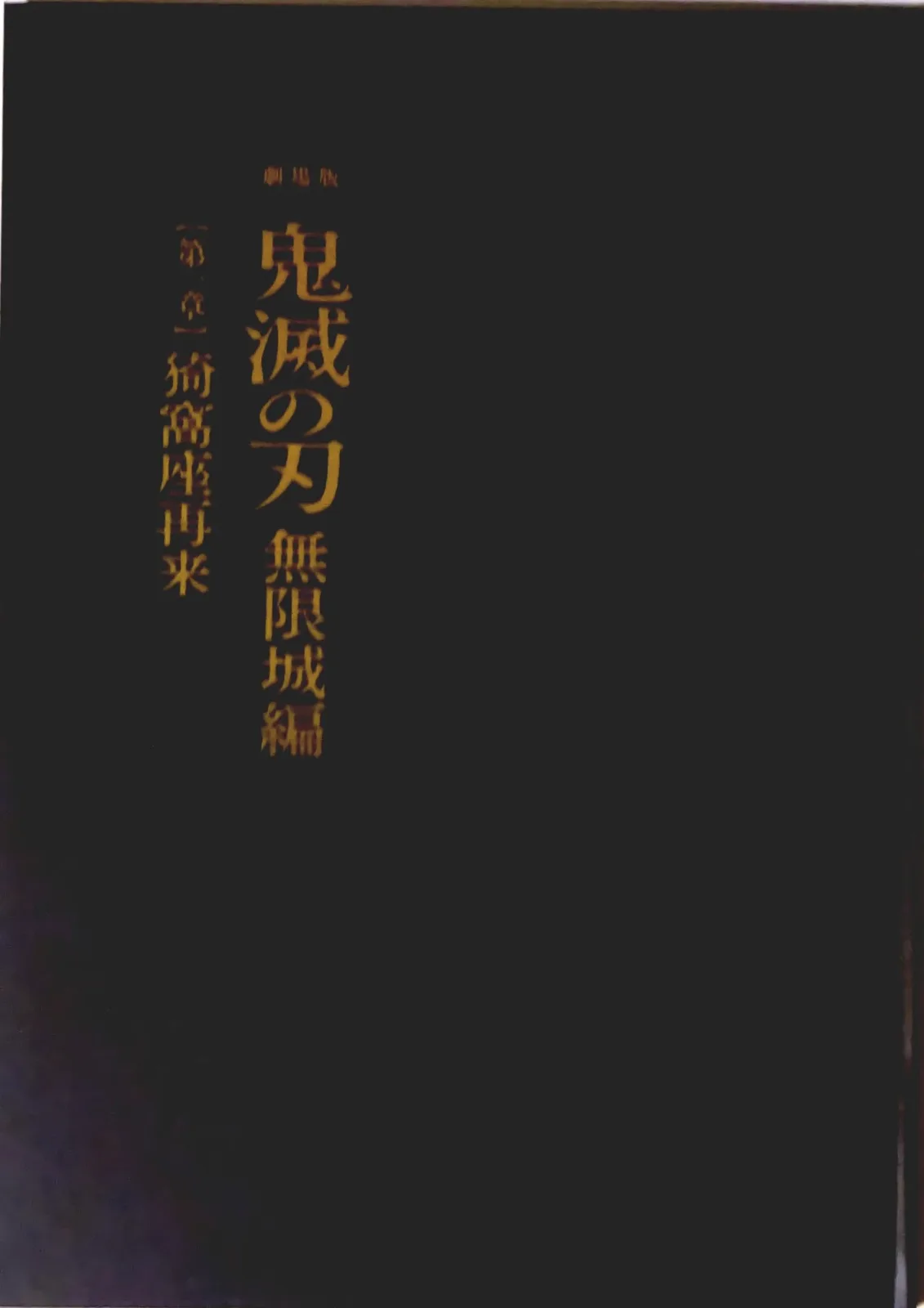 Aniplex Demon Slayer Mugen Castle Arc Chapter 1 Movie Pamphlet Limited Edition - Image 2