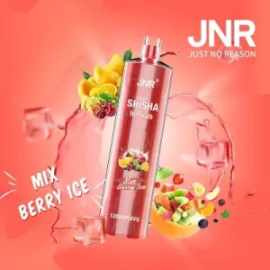 Jnr Shisha Hookah 12000 Puffs Disposable Vape
