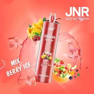 Jnr Shisha Hookah 12000 Puffs Disposable Vape