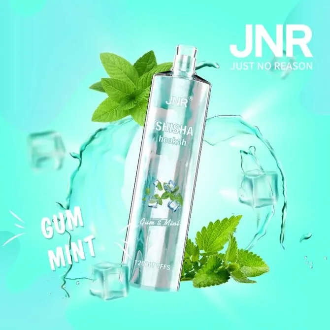 Jnr Shisha Hookah 12000 Puffs Disposable Vape - Image 2