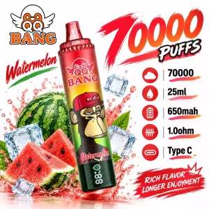 QQ BANG 70000 Puffs DSK059 70K Dual Mesh DTL Disposable Vapes Wholesale Bulk Buy
