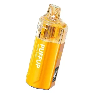 Vapgo PUFFUP vilso NIX 25K Disposable Vape (5%, 25000 Puffs) - Love 66