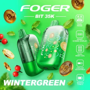Foger Bit 35K Disposable Vape (5%, 35000 Puffs) - Wintergreen