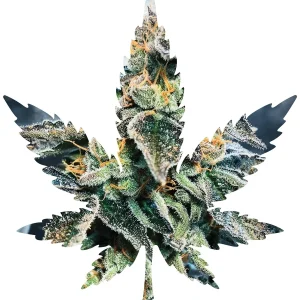 Indica Leaf Shape Puzzle: Sport Farmer "Gary GNU" 10" x 11" 69 Piece 1/4 Inch thick Maple Wood Jigsaw Puzzle