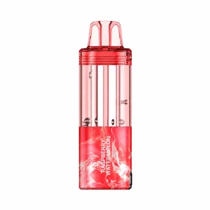 Raspberry Watermelon Foger Switch Pro Pod 30K