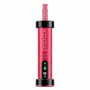 Rose Berry - Ploox Molasses 75k Disposable E-Hookah