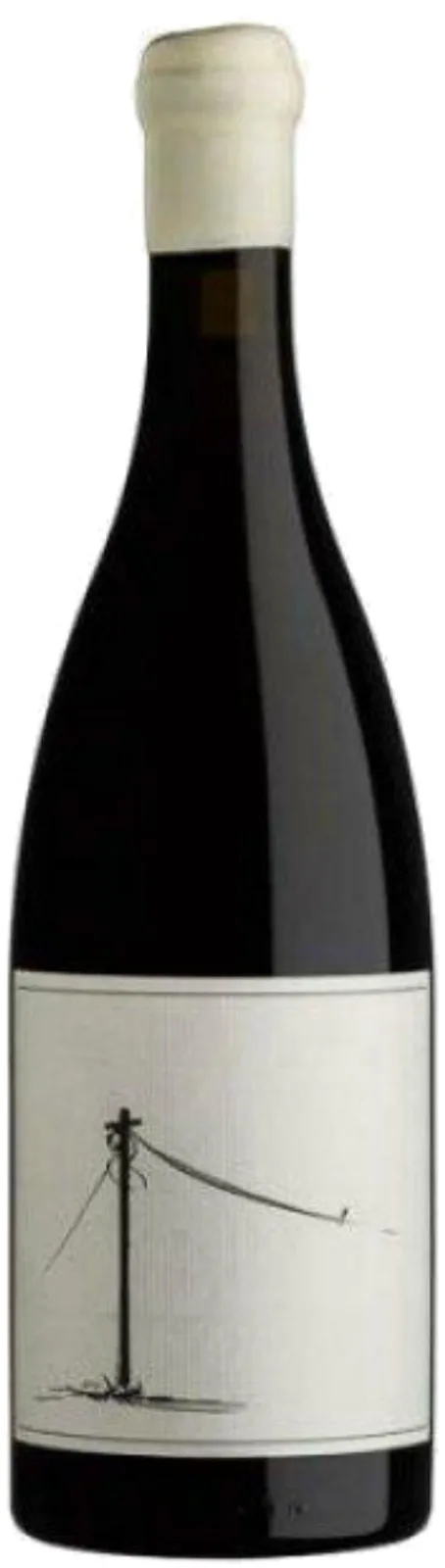 Savage Follow the Line Cinsault 2024