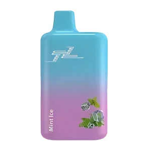 TL Disposable Vape 5000 Puffs – Mentha Spicata